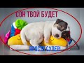 Сладких снов! Спокойной ночи!