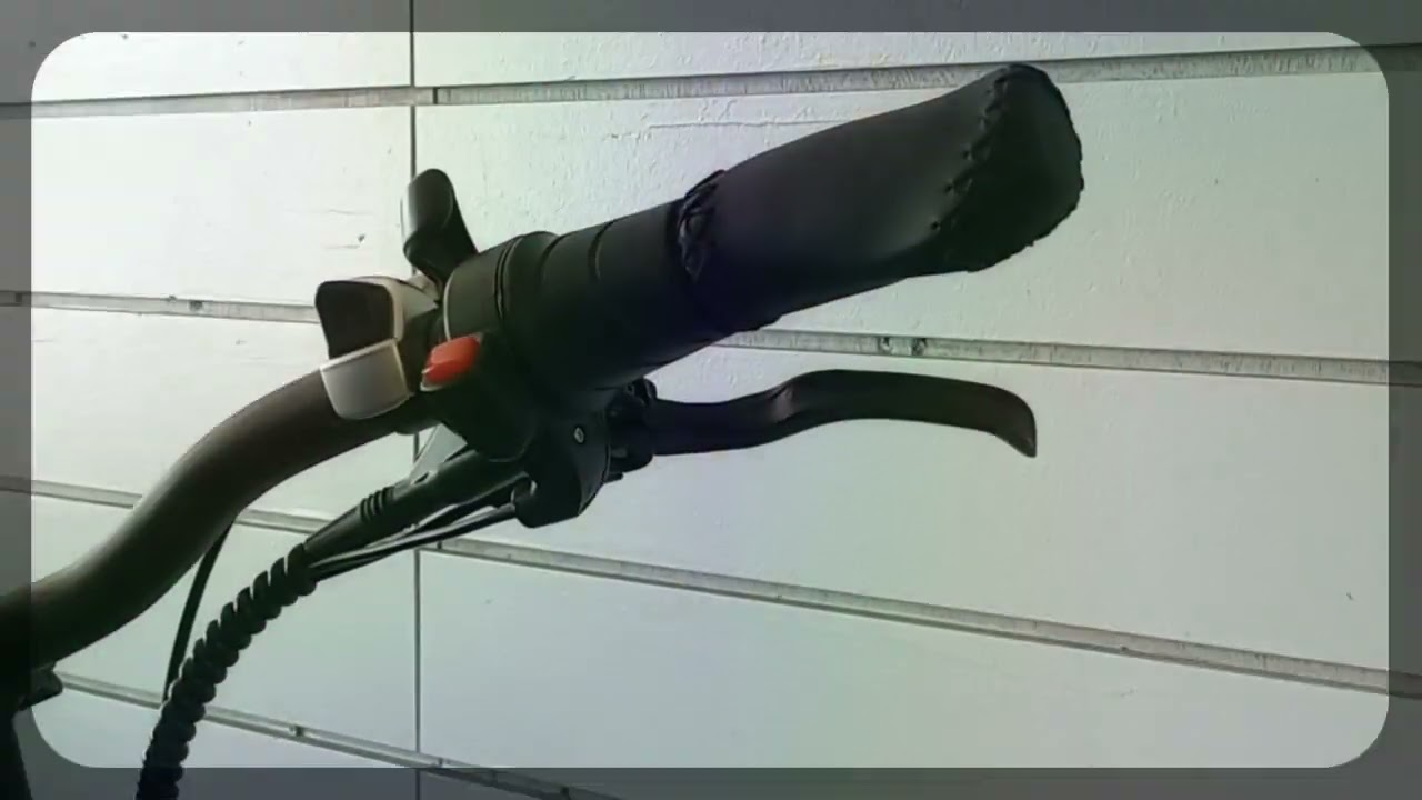 ebike thumb throttle