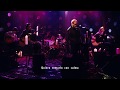 No Excuses - Alice in Chains | MTV Unplugged (Sub. Esp.)