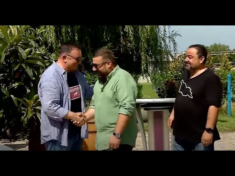 ვიდეო: ხის ჩიპების გამოყენება ბაღში: შეიტყვეთ ხის ჩიპის მულჩის დადებითი და უარყოფითი მხარეების შესახებ