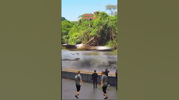 Merekam kemunculan Ular Titanoboa raksasa di kerubuti monyet #ularbesar #toguchannel