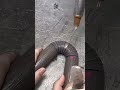 las welding#shorts#shortvideo#belajarlaswelding