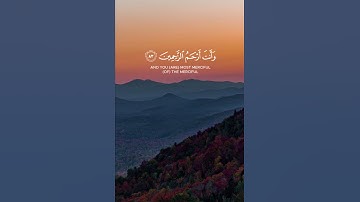 (وأيوب إذ نادى ربه أني مسني الضر) #رعد_الكردي #سورة_الأنبياء #القرآن_الكريم #القرآن #قرآن #ذكر_الله