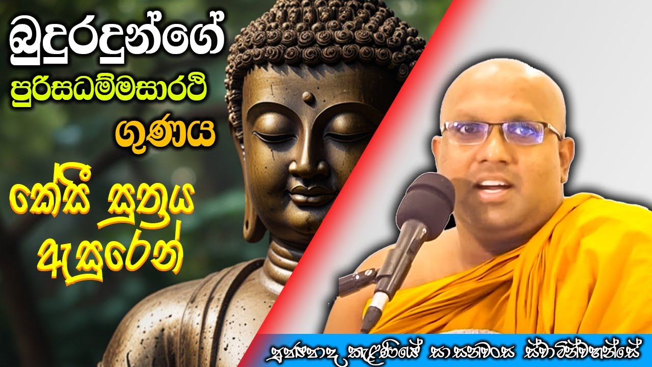 කේසී සුත්‍රය ඇසුරෙන් බුදුරදුන්ගේ පුරිසධම්සාර්ථි ගුණය Kelaniye Sasanawansa Thero Mindful Wisdom #Bana