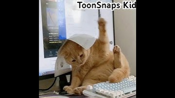 💤😴 #animation #3danimation #funny #memes #gartenofbanban #satisfying #cgi #asmr #1million #cat