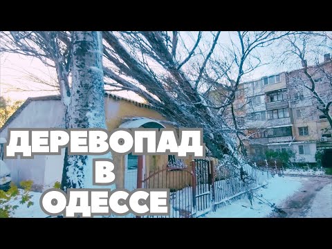 Видео: Репортаж про КАТАКЛИЗЬМУ в Одессе