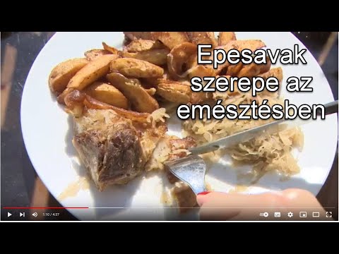 Epesavak szerepe az emésztésben, zsírbontásban, puffadás enyhítésében