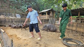 Selling wild pigs raised for 2 years to people at high prices.|Wild survival.