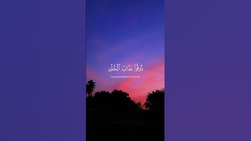قران كريم راحه نفسيه القارئ عبد الرحمن مسعد ❤️🌹#قرآن #راحة_نفسية #عبدالرحمن_مسعد #اكسبلور