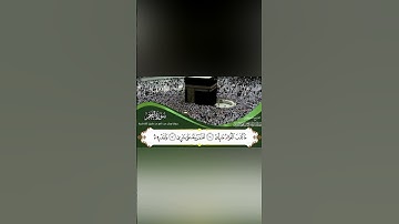 🌠 سورة النجم بتلاوة تهز الوجدان | صوت يبكي القلوب ويشرح الصدور 🎧💔#سورة_النجم #القرآن_الكريم  #المصحف