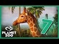 Planet Zoo - يبنا الزرافة