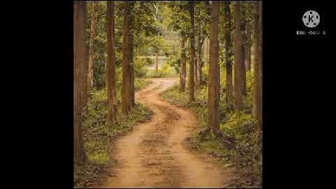 @الشيخ عبدالباسط عبدالصمد تلاوات نادرة من سورة الذاريات