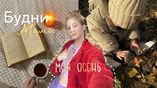 Будни Мамы, Последние Тёплые Деньки, Печенье К Хэллоуину, Осенний Влог