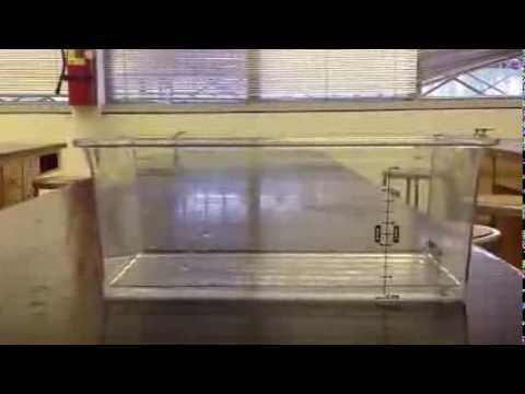 Wave Speed Lab Demo