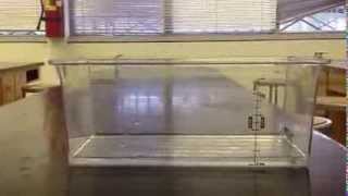Wave Speed Lab Demo Net Worth