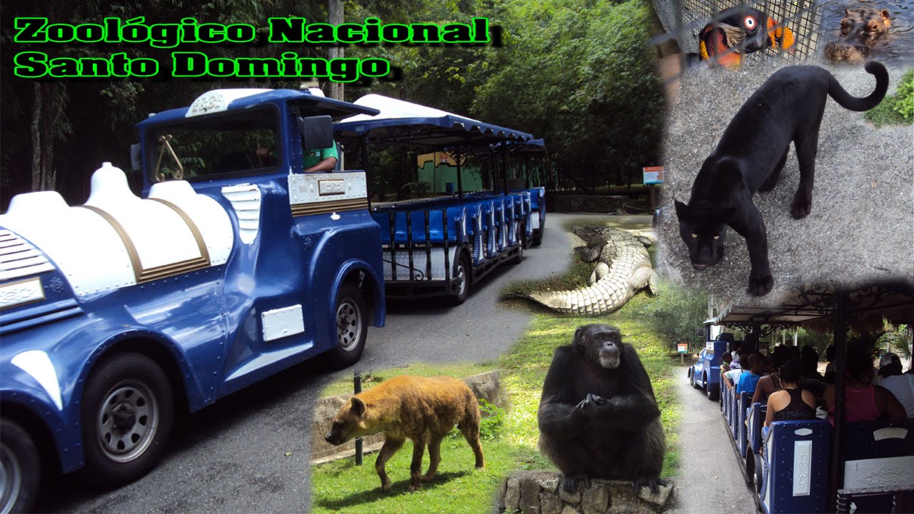 Recorrido por el Zoológico Nacional Santo Domingo|Belleza Natural 
