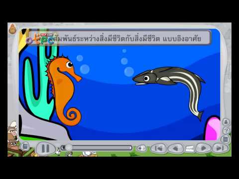 ความสัมพันธ์แบบอิงอาศัย - สื่อการเรียนการสอน วิทยาศาสตร์ ป.3