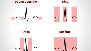 ĐIỆN TÂM ĐỒ (Phần 1)