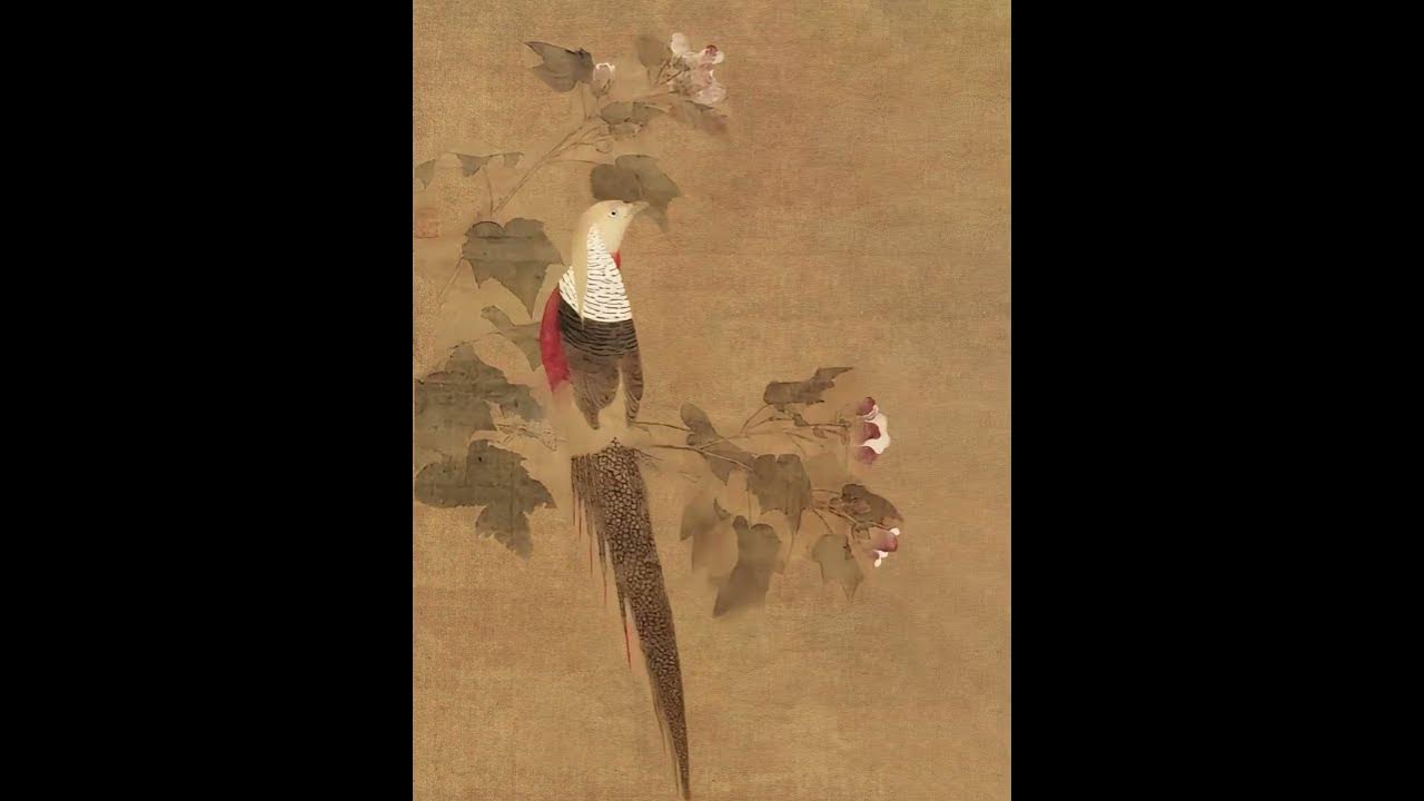 The Song Dynasty meticulous flower-and-bird painting "Hibiscus and Golden Pheasant" The Song Dynasty meticulous flower-and-bird painting "Hibiscus and Golden Pheasant"