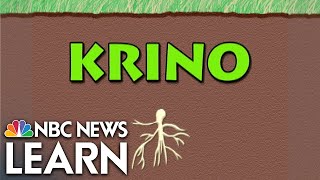Word Roots: Krino