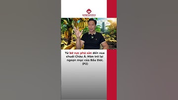 Từ bờ vực phá sản đến vua chuối Châu Á: Màn trở lại ngoạn mục của Bầu Đức (P2)