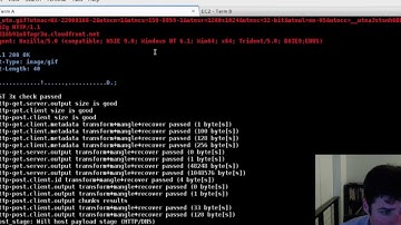 Domain Fronting and High-trust Redirectors with Cobalt Strike