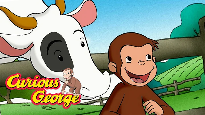 George Loves Cows 🐵 Curious George 🐵 Kids Cartoon 🐵 Kids Movies