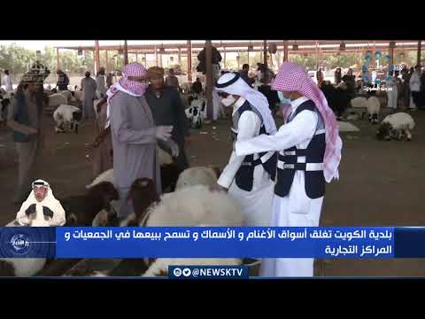بلدية الكويت تغلق أسواق الأغنام والأسماك وتسمح ببيعها في الجمعيات والمراكز التجارية