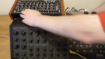 MFB Tanzbar, Korg MS20 & EHX Deluxe Memory Man