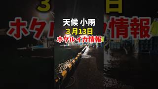 糸魚川ホタルイカと魚情報