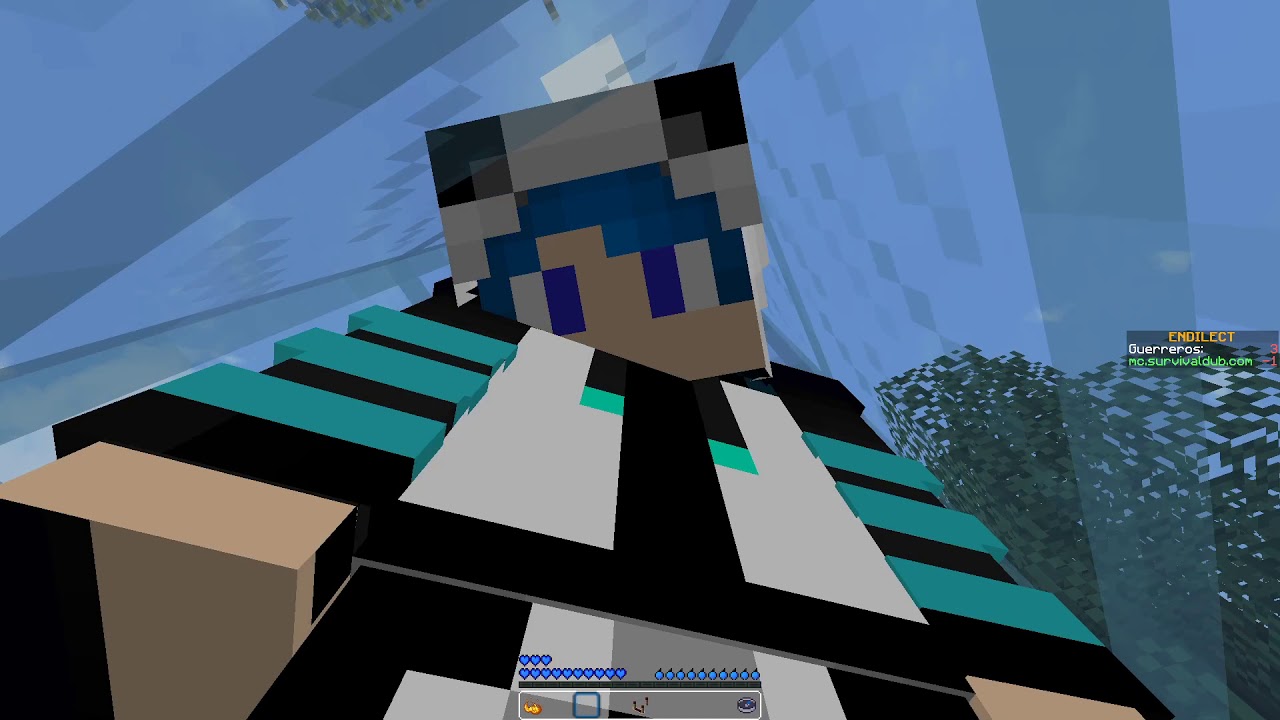 Minecraft survivaldub