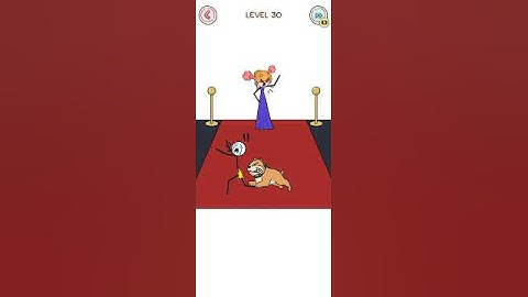 Thief Puzzle level 30 Gameplay walkthrough