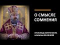 О смысле сомнения