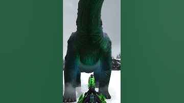 Arks Tek Saddles are Terrific