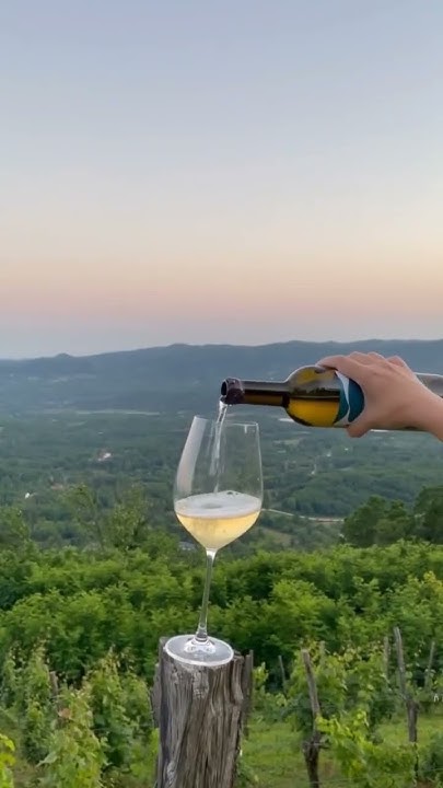 Абхазия и вино🍷🍷🍷#винаабхазии #винодельни#абхазия - YouTube