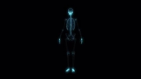 Hologram Of A Skeleton Stock Motion Graphics