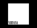 Nirvana 6th album 1999 no guarantee fan album