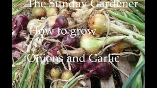 A short video showing how to plant and grow garlic onions, easy
rewarding crops. get your crop off good start enjoy the benefits at
harvest.