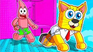 ROBLOX CAT TROLL TOWER…