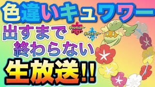 ポケモン剣盾 地獄の厳選 色違いキュワワーを孵化するまで終われません Youtube ポケモン剣盾 地獄の厳選 色違いキュワワーを孵化するまで終われません Youtube