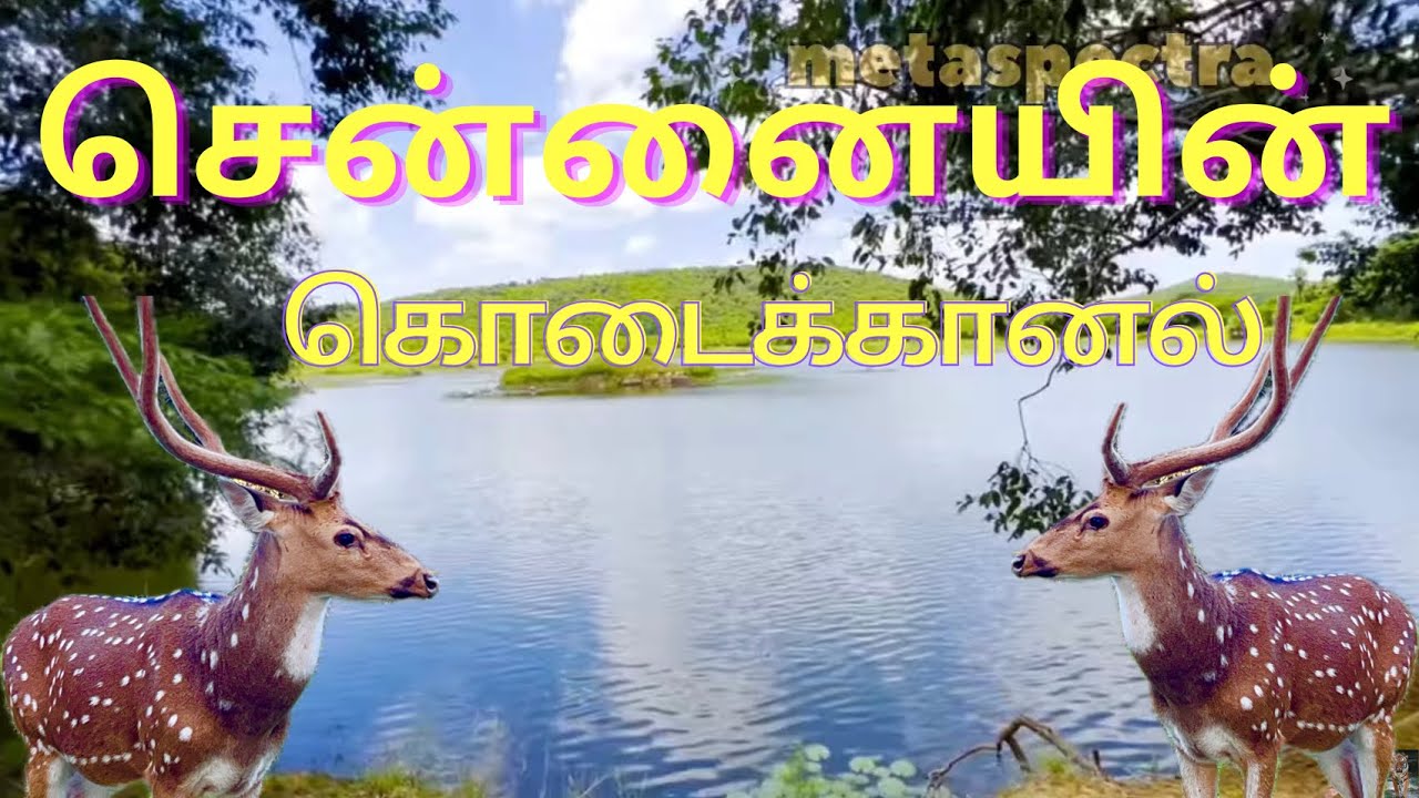 சென்னையின் கொடைக்கானல் ( KUMIZHI LAKE) #lake #chennai #nature #forest #ytvideo #kumizhilake #lake