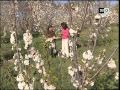 Ain Leuh Maroc عين اللوح أجمل قريه مغربيه 