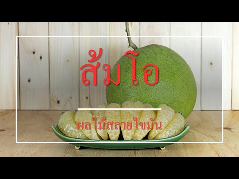 วีดีโอ: ส้มช่วยชีวิตโอเดสซาได้อย่างไร