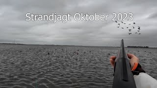 Pramjagt Oktober 2023