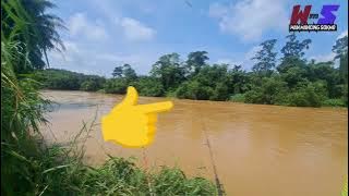 Ikan purba melahap umpan