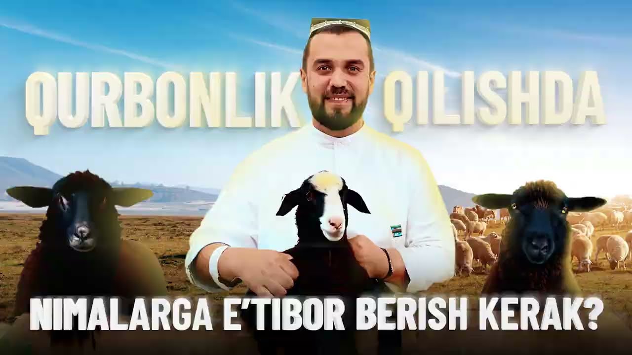 🐏 Qurbonlik qilishda nimalarga e'tibor berish kerak?