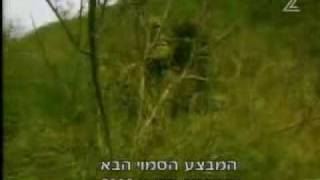 IDF Anti-Guerrilla Unit - Egoz Battalion