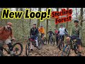 Discover a hidden gem sterling forests new mindblowing mountain bike trail