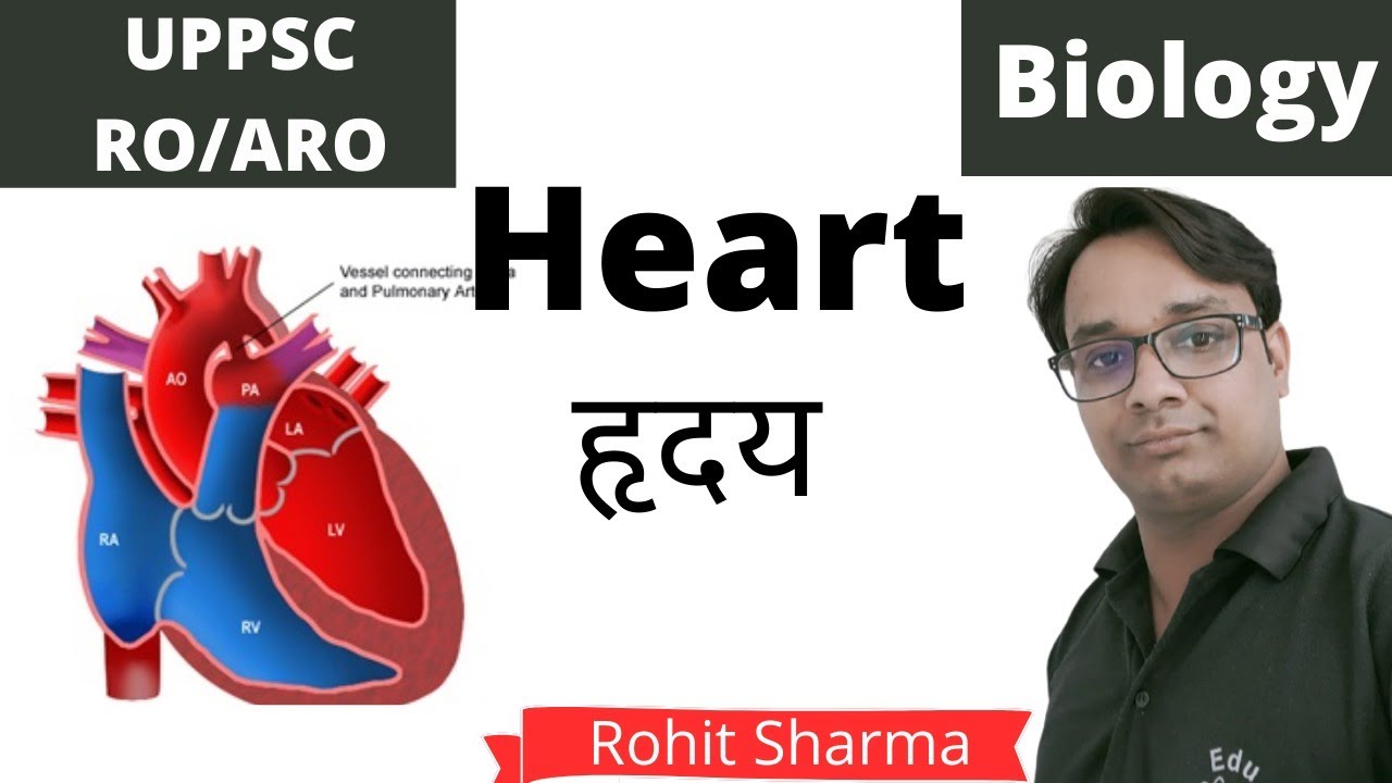 Heart | हृदय | UPPSC | Ro ARO | 2021 | EduLearn | Rohit Sharma