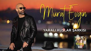 Murat Evgin - Yaralı Kuşlar Şarkısı  Resimi